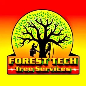 🌲 "Why Tree Removal Isn’t Just About Trees—It’s About Safety, Value, and Peace of Mind"